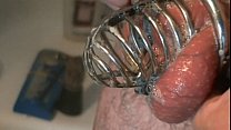 Chastity Bdsm sex