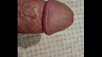 Dick Cock sex