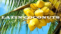 Big Coconuts sex