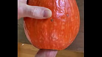 Pumpkin sex