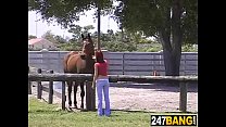 Horse Farm sex