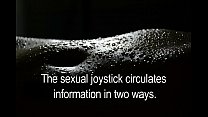 Joystick sex