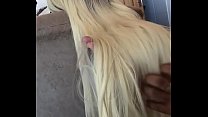 Long Blonde Hair sex