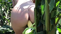 Corn Field sex