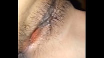 Hd Pussy Close Up sex