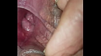 Large Vagina sex