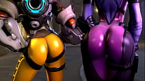 Tracer sex