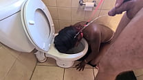Toilet Humiliation sex