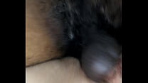 Doggystyle Interracial sex