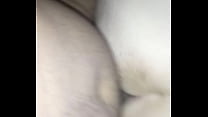 White Bbc sex