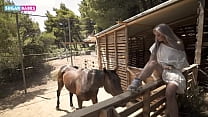 Horse Blowjob sex
