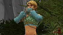 Zelda Link sex