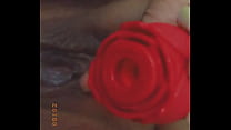 Rose Toy sex