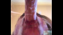 Big Cock In Mouth sex