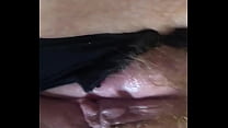 Wife S Pussy sex