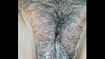 Hairy Indian Pussy sex