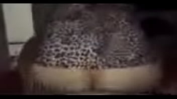 イラストリアス sex