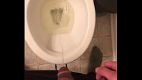 Toilet Piss sex