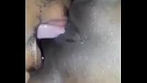 Licking Pussy Juice sex