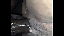 Big Ass Wet Pussy Big Dick sex