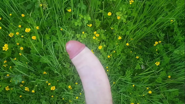 Free sex