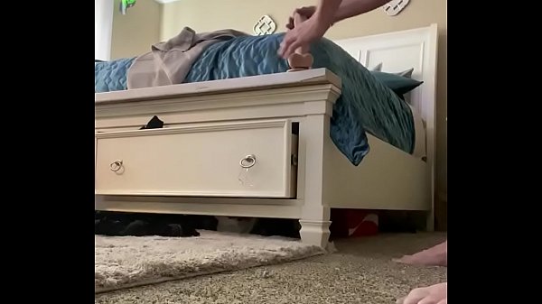Free sex