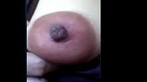 Big Puffy Nipples sex