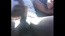 Ebony Dick Sucking sex