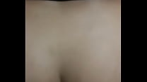 Male Tits sex
