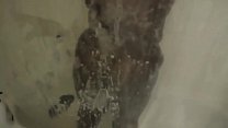 Ebony In Shower sex