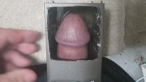 Cock Box sex