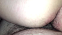 Amateur Hairy sex