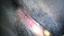 Fat Jamaican Pussy sex