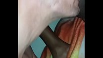 Licking Ebony Pussy sex