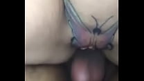 Borboleta sex