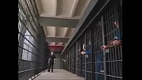 Jail sex