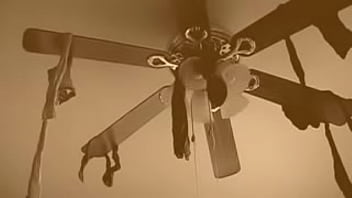 Television Comedy Show sex