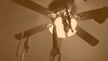 Television Comedy Show sex