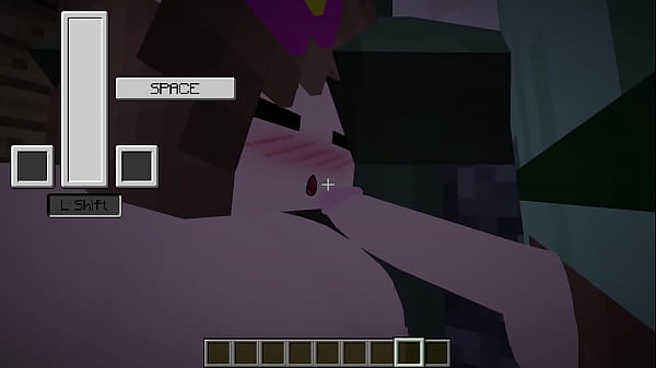 Video De Verificacao sex