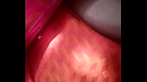 Pink Saree sex