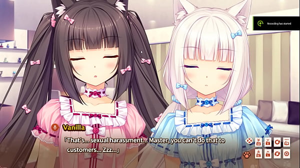 カーセックス video