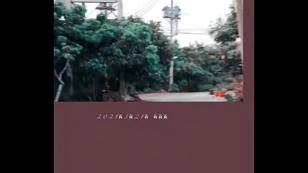 视频 video