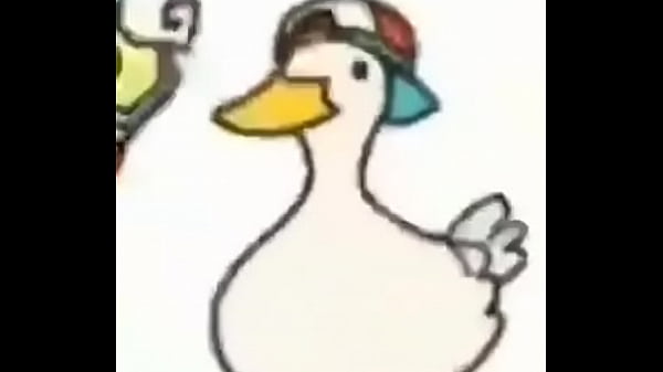 Duck video