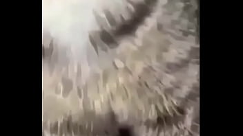 Delicious Delicious sex