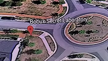 Laboratorio sex