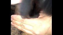 Black Cock Fuck sex