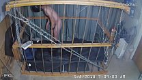 Cage Bondage sex