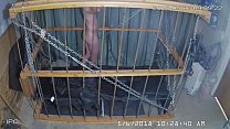 Cage Bondage sex