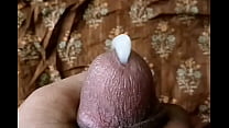 Sperm In Mouth sex