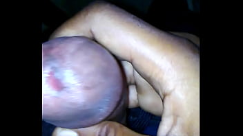 пингвин на жопе sex